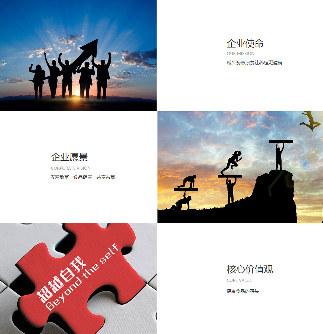 亚投app官网(图1)